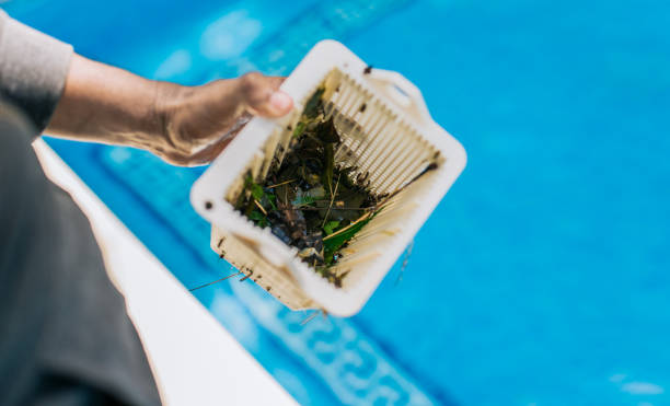 Best Estate Cleanout Services  in Newton, NC